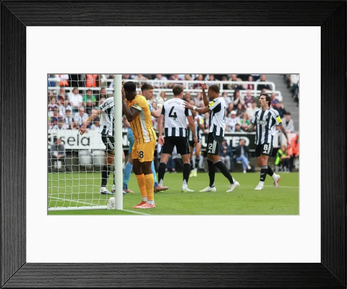 Framed Print : Newcastle United v Brighton and Hove Albion Premier League 02MAY26 Framed Print : Newcastle United v Brighton and Hove Albion Premier League 02MAY26