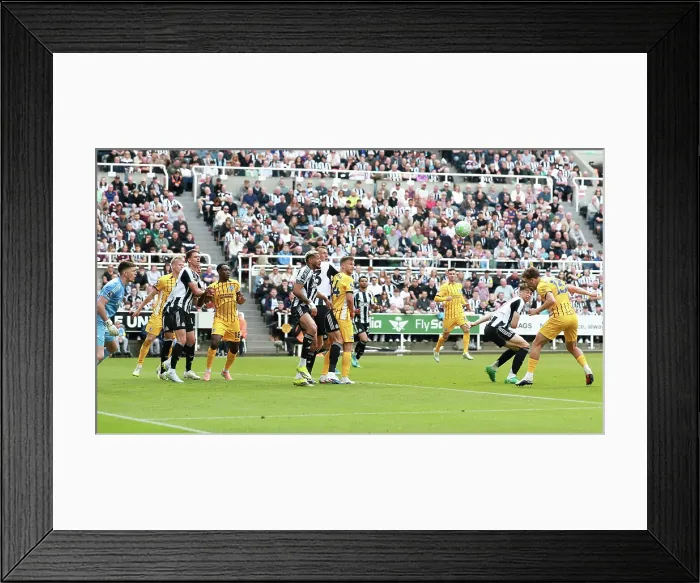 Framed Print : Newcastle United v Brighton and Hove Albion Premier League 02MAY26 Framed Print : Newcastle United v Brighton and Hove Albion Premier League 02MAY26