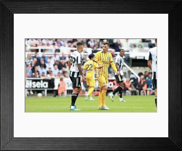 Framed Print : Newcastle United v Brighton and Hove Albion Premier League 02MAY26 Framed Print : Newcastle United v Brighton and Hove Albion Premier League 02MAY26