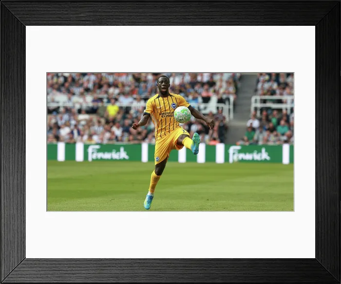 Framed Print : Newcastle United v Brighton and Hove Albion Premier League 02MAY26