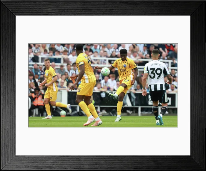 Framed Print : Newcastle United v Brighton and Hove Albion Premier League 02MAY26