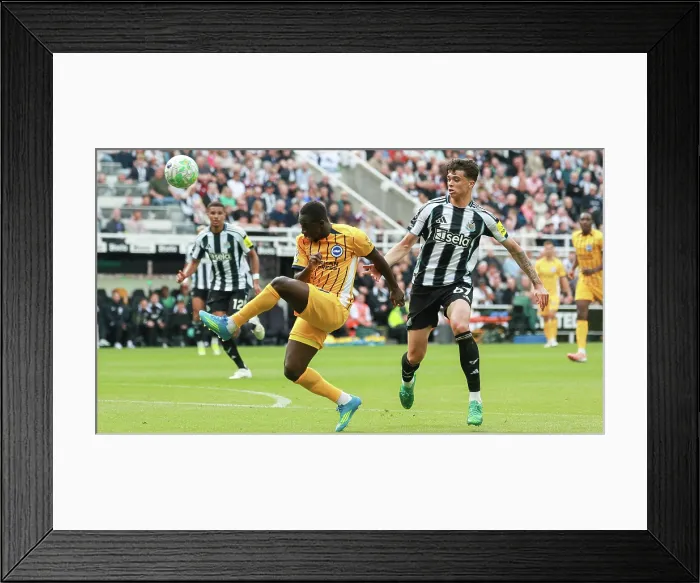 Framed Print : Newcastle United v Brighton and Hove Albion Premier League 02MAY26 Framed Print : Newcastle United v Brighton and Hove Albion Premier League 02MAY26
