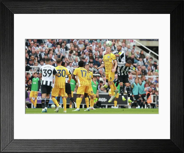 Framed Print : Newcastle United v Brighton and Hove Albion Premier League 02MAY26 Framed Print : Newcastle United v Brighton and Hove Albion Premier League 02MAY26