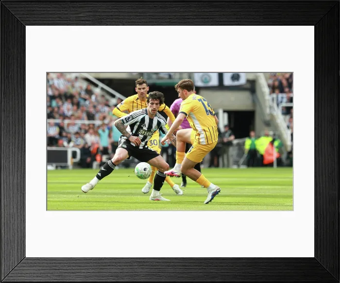 Framed Print : Newcastle United v Brighton and Hove Albion Premier League 02MAY26 Framed Print : Newcastle United v Brighton and Hove Albion Premier League 02MAY26