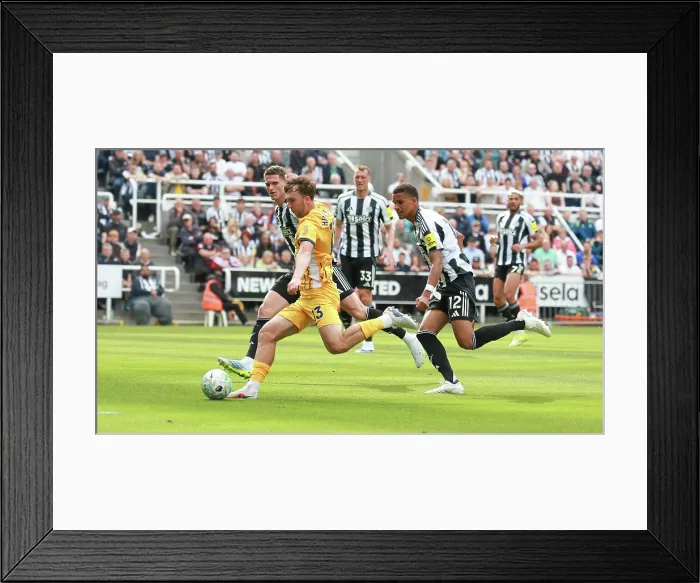 Framed Print : Newcastle United v Brighton and Hove Albion Premier League 02MAY26 Framed Print : Newcastle United v Brighton and Hove Albion Premier League 02MAY26