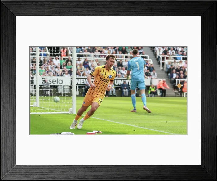Framed Print : Newcastle United v Brighton and Hove Albion Premier League 02MAY26 Framed Print : Newcastle United v Brighton and Hove Albion Premier League 02MAY26