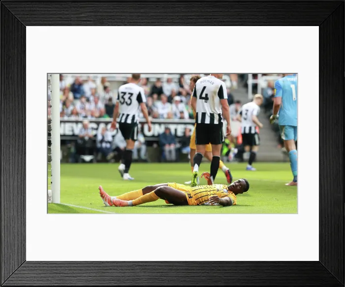 Framed Print : Newcastle United v Brighton and Hove Albion Premier League 02MAY26 Framed Print : Newcastle United v Brighton and Hove Albion Premier League 02MAY26
