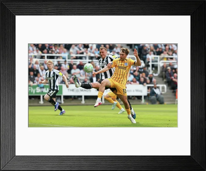 Framed Print : Newcastle United v Brighton and Hove Albion Premier League 02MAY26 Framed Print : Newcastle United v Brighton and Hove Albion Premier League 02MAY26