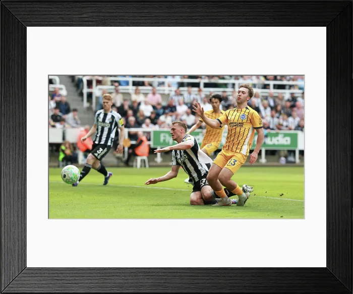 Framed Print : Newcastle United v Brighton and Hove Albion Premier League 02MAY26 Framed Print : Newcastle United v Brighton and Hove Albion Premier League 02MAY26