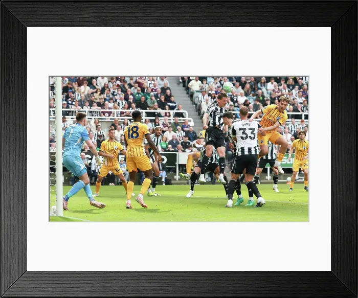 Framed Print : Newcastle United v Brighton and Hove Albion Premier League 02MAY26 Framed Print : Newcastle United v Brighton and Hove Albion Premier League 02MAY26