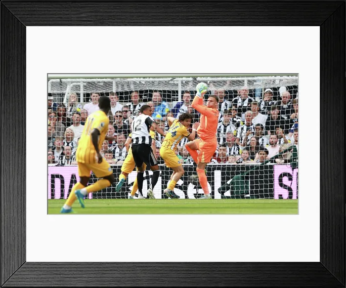 Framed Print : Newcastle United v Brighton and Hove Albion Premier League 02MAY26 Framed Print : Newcastle United v Brighton and Hove Albion Premier League 02MAY26