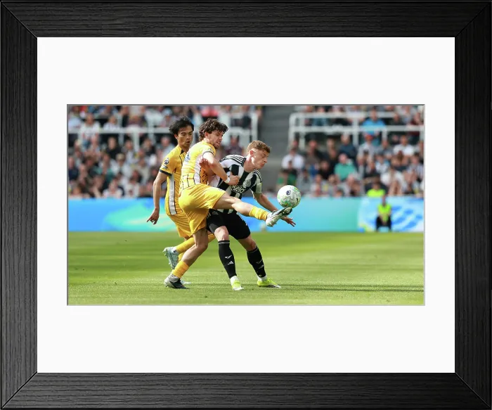 Framed Print : Newcastle United v Brighton and Hove Albion Premier League 02MAY26 Framed Print : Newcastle United v Brighton and Hove Albion Premier League 02MAY26
