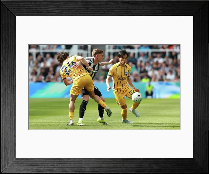 Framed Print : Newcastle United v Brighton and Hove Albion Premier League 02MAY26 Framed Print : Newcastle United v Brighton and Hove Albion Premier League 02MAY26