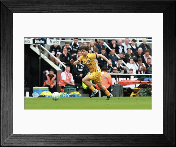 Framed Print : Newcastle United v Brighton and Hove Albion Premier League 02MAY26 Framed Print : Newcastle United v Brighton and Hove Albion Premier League 02MAY26