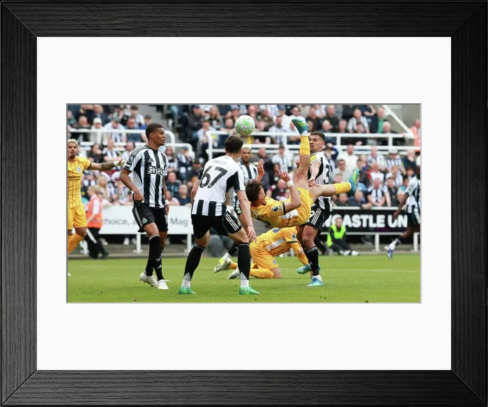 Framed Print : Newcastle United v Brighton and Hove Albion Premier League 02MAY26 Framed Print : Newcastle United v Brighton and Hove Albion Premier League 02MAY26