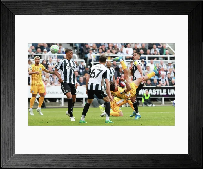 Framed Print : Newcastle United v Brighton and Hove Albion Premier League 02MAY26 Framed Print : Newcastle United v Brighton and Hove Albion Premier League 02MAY26