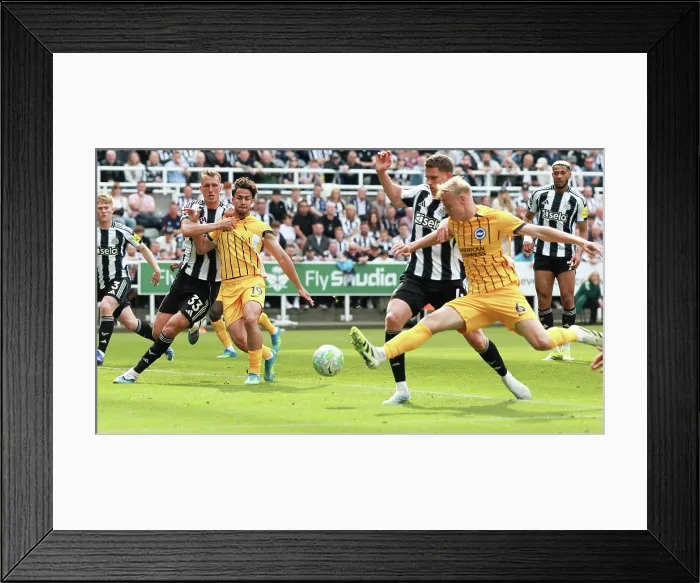 Framed Print : Newcastle United v Brighton and Hove Albion Premier League 02MAY26 Framed Print : Newcastle United v Brighton and Hove Albion Premier League 02MAY26