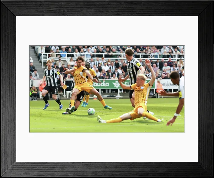 Framed Print : Newcastle United v Brighton and Hove Albion Premier League 02MAY26 Framed Print : Newcastle United v Brighton and Hove Albion Premier League 02MAY26