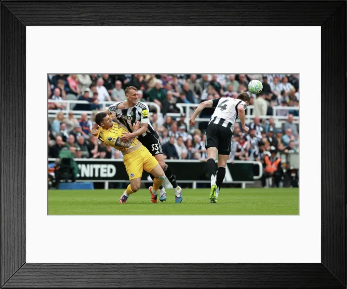 Framed Print : Newcastle United v Brighton and Hove Albion Premier League 02MAY26 Framed Print : Newcastle United v Brighton and Hove Albion Premier League 02MAY26