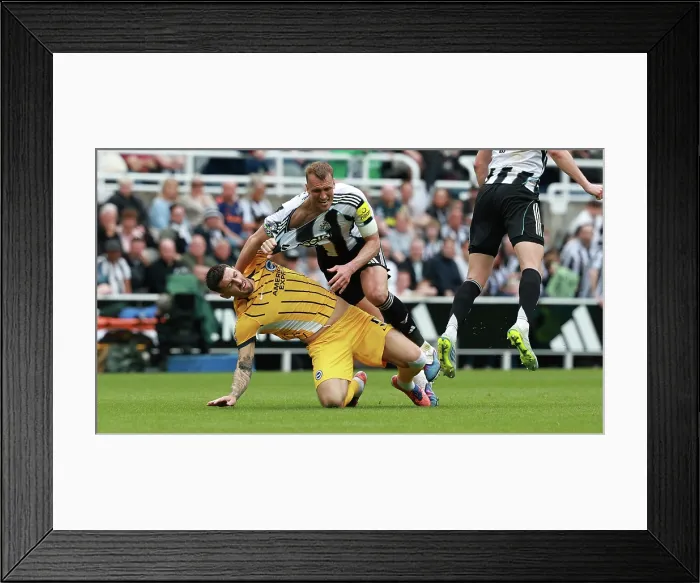 Framed Print : Newcastle United v Brighton and Hove Albion Premier League 02MAY26