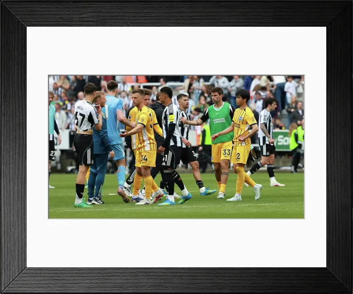 Framed Print : Newcastle United v Brighton and Hove Albion Premier League 02MAY26 Framed Print : Newcastle United v Brighton and Hove Albion Premier League 02MAY26