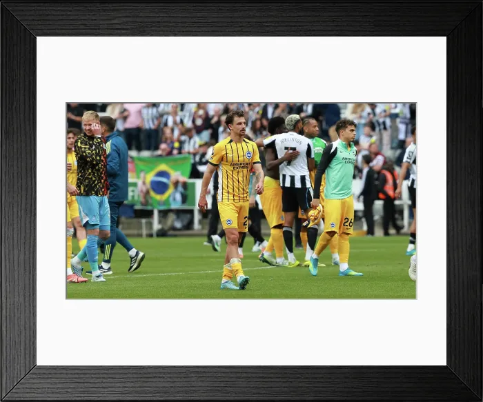 Framed Print : Newcastle United v Brighton and Hove Albion Premier League 02MAY26
