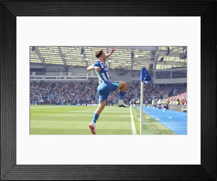 Framed Print : Brighton and Hove Albion v Wolverhampton Wanderers Premier League 09MAY26 Framed Print : Brighton and Hove Albion v Wolverhampton Wanderers Premier League 09MAY26