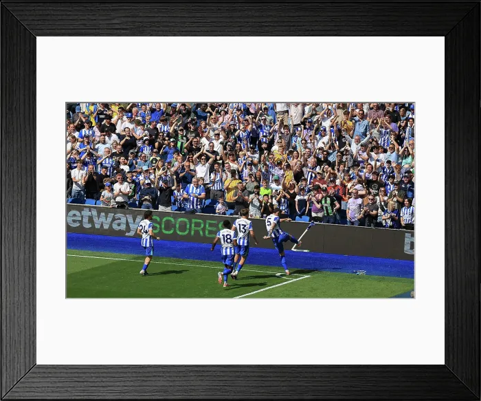 Framed Print : Brighton and Hove Albion v Wolverhampton Wanderers Premier League 09MAY26 Framed Print : Brighton and Hove Albion v Wolverhampton Wanderers Premier League 09MAY26
