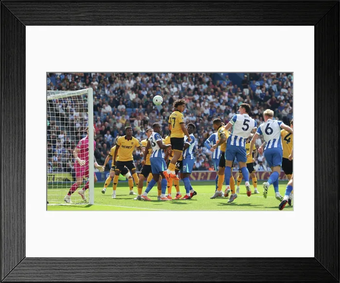 Framed Print : Brighton and Hove Albion v Wolverhampton Wanderers Premier League 09MAY26 Framed Print : Brighton and Hove Albion v Wolverhampton Wanderers Premier League 09MAY26