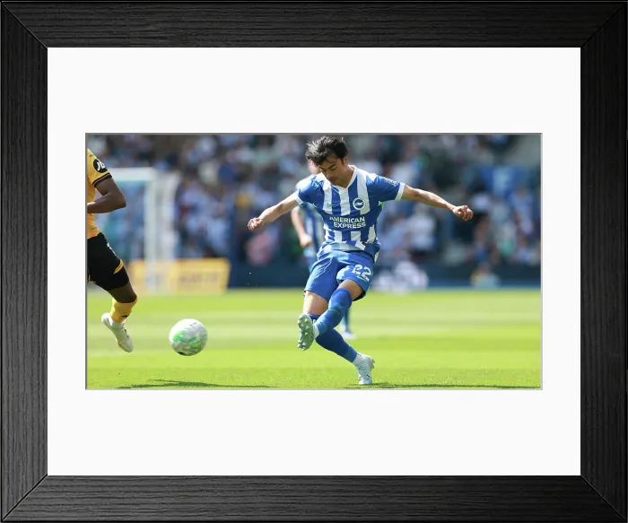 Framed Print : Brighton and Hove Albion v Wolverhampton Wanderers Premier League 09MAY26 Framed Print : Brighton and Hove Albion v Wolverhampton Wanderers Premier League 09MAY26