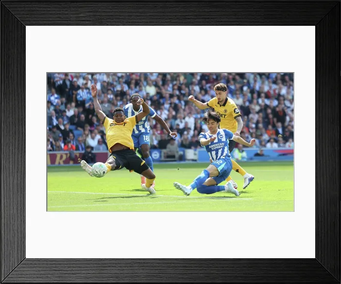 Framed Print : Brighton and Hove Albion v Wolverhampton Wanderers Premier League 09MAY26 Framed Print : Brighton and Hove Albion v Wolverhampton Wanderers Premier League 09MAY26