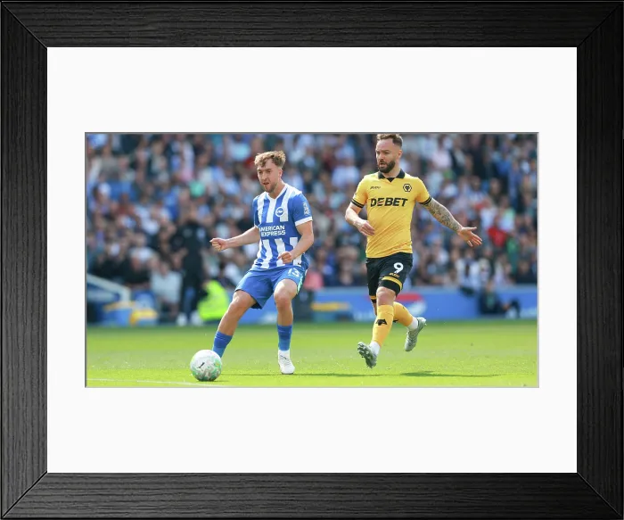 Framed Print : Brighton and Hove Albion v Wolverhampton Wanderers Premier League 09MAY26 Framed Print : Brighton and Hove Albion v Wolverhampton Wanderers Premier League 09MAY26