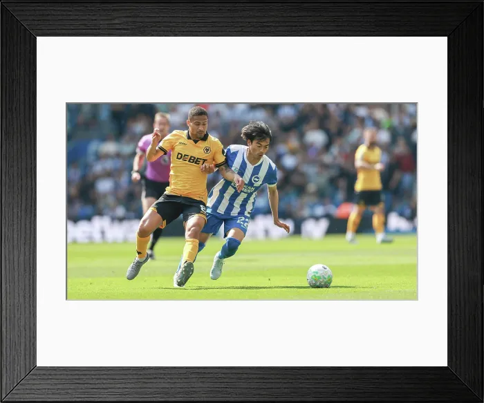 Framed Print : Brighton and Hove Albion v Wolverhampton Wanderers Premier League 09MAY26 Framed Print : Brighton and Hove Albion v Wolverhampton Wanderers Premier League 09MAY26