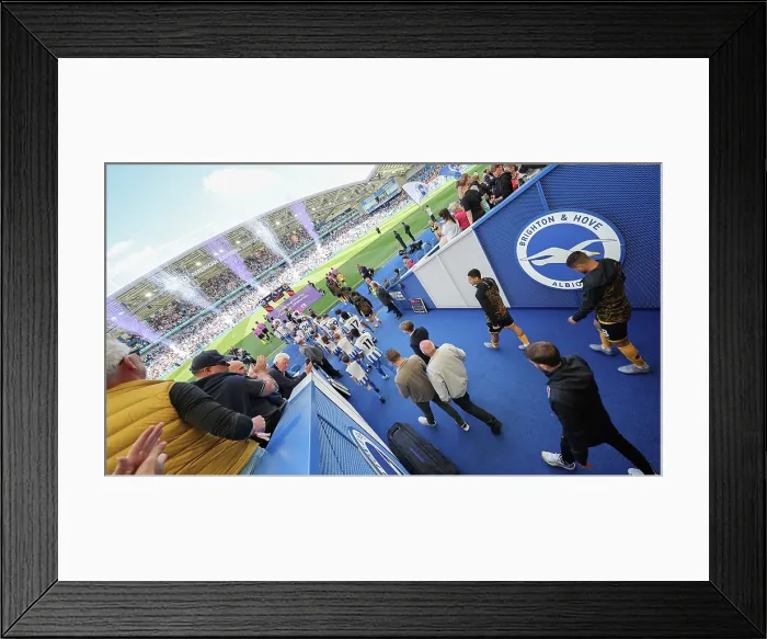 Framed Print : Brighton and Hove Albion v Wolverhampton Wanderers Premier League 09MAY26 Framed Print : Brighton and Hove Albion v Wolverhampton Wanderers Premier League 09MAY26
