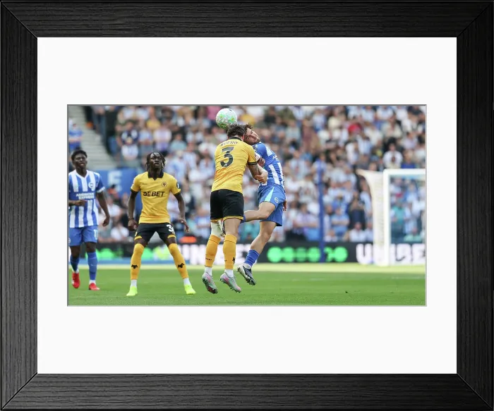 Framed Print : Brighton and Hove Albion v Wolverhampton Wanderers Premier League 09MAY26 Framed Print : Brighton and Hove Albion v Wolverhampton Wanderers Premier League 09MAY26