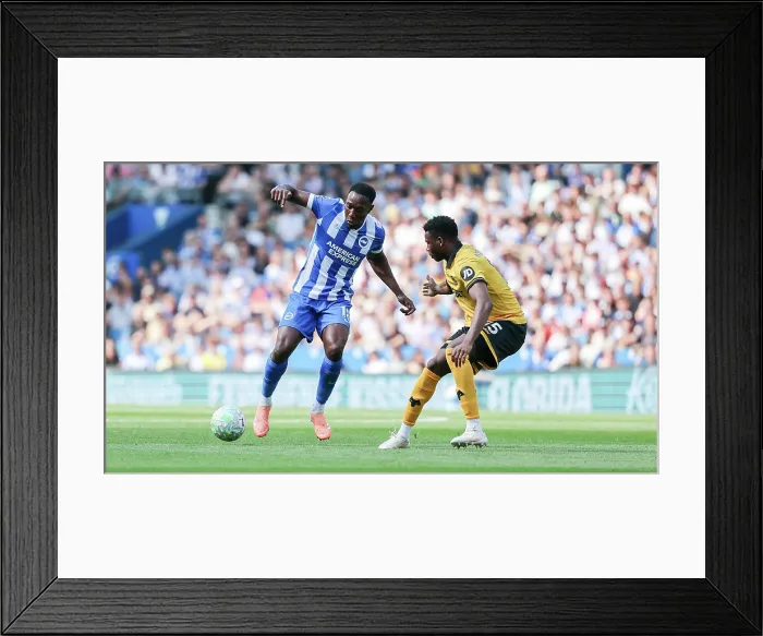 Framed Print : Brighton and Hove Albion v Wolverhampton Wanderers Premier League 09MAY26 Framed Print : Brighton and Hove Albion v Wolverhampton Wanderers Premier League 09MAY26