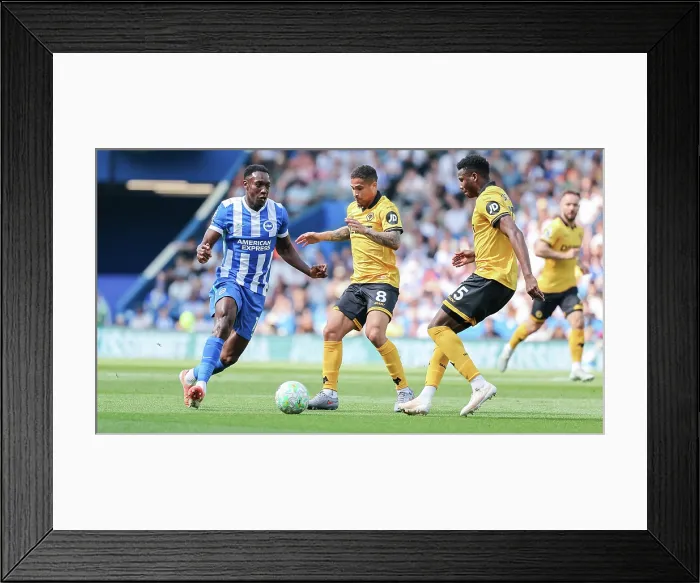 Framed Print : Brighton and Hove Albion v Wolverhampton Wanderers Premier League 09MAY26 Framed Print : Brighton and Hove Albion v Wolverhampton Wanderers Premier League 09MAY26
