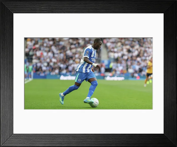 Framed Print : Brighton and Hove Albion v Wolverhampton Wanderers Premier League 09MAY26 Framed Print : Brighton and Hove Albion v Wolverhampton Wanderers Premier League 09MAY26
