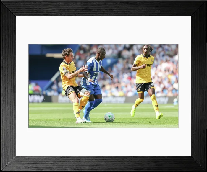 Framed Print : Brighton and Hove Albion v Wolverhampton Wanderers Premier League 09MAY26 Framed Print : Brighton and Hove Albion v Wolverhampton Wanderers Premier League 09MAY26
