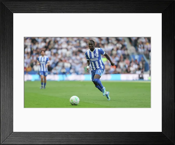 Framed Print : Brighton and Hove Albion v Wolverhampton Wanderers Premier League 09MAY26 Framed Print : Brighton and Hove Albion v Wolverhampton Wanderers Premier League 09MAY26