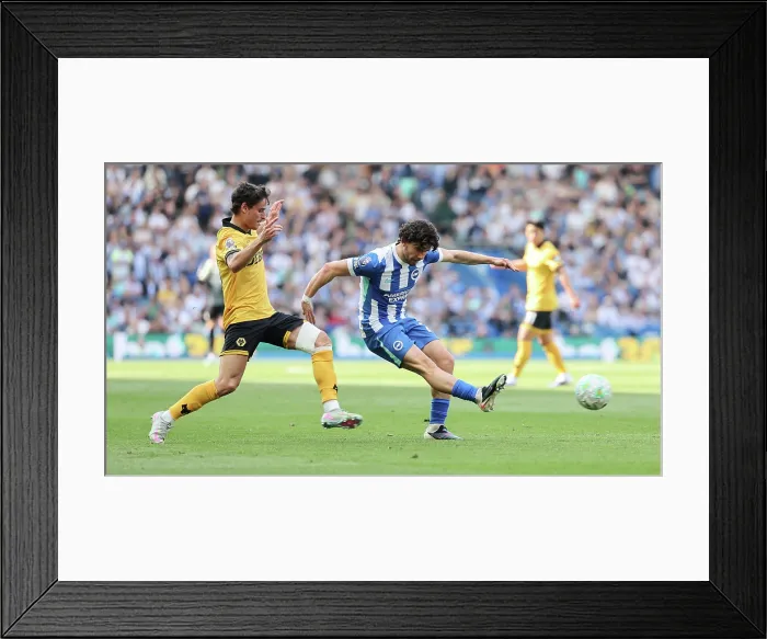 Framed Print : Brighton and Hove Albion v Wolverhampton Wanderers Premier League 09MAY26 Framed Print : Brighton and Hove Albion v Wolverhampton Wanderers Premier League 09MAY26