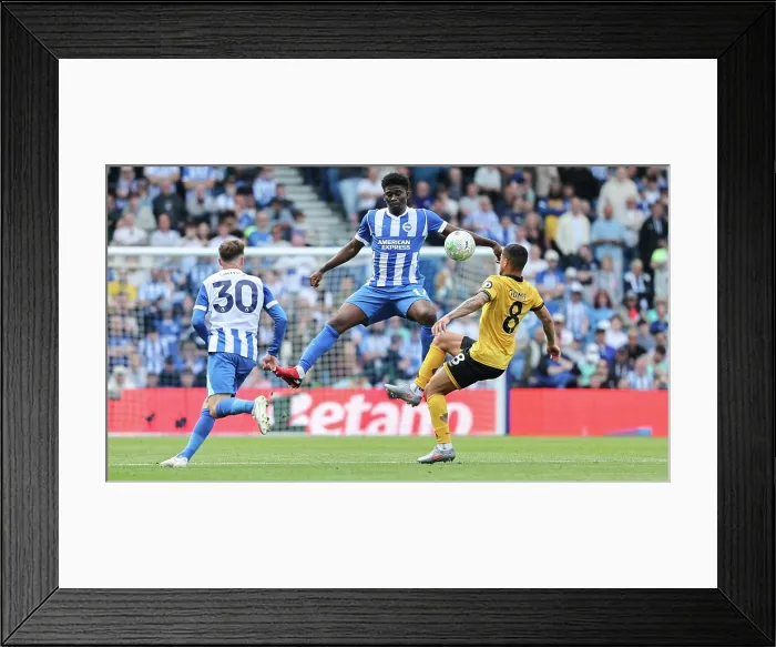 Framed Print : Brighton and Hove Albion v Wolverhampton Wanderers Premier League 09MAY26 Framed Print : Brighton and Hove Albion v Wolverhampton Wanderers Premier League 09MAY26