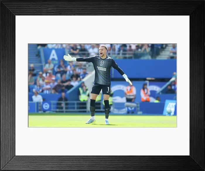 Framed Print : Brighton and Hove Albion v Wolverhampton Wanderers Premier League 09MAY26 Framed Print : Brighton and Hove Albion v Wolverhampton Wanderers Premier League 09MAY26