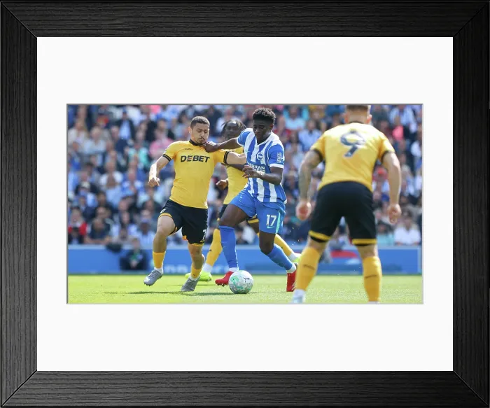 Framed Print : Brighton and Hove Albion v Wolverhampton Wanderers Premier League 09MAY26 Framed Print : Brighton and Hove Albion v Wolverhampton Wanderers Premier League 09MAY26