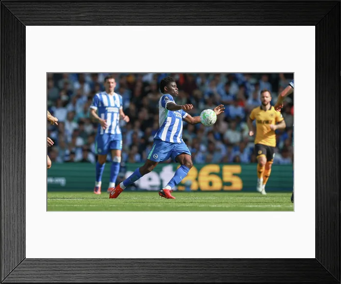 Framed Print : Brighton and Hove Albion v Wolverhampton Wanderers Premier League 09MAY26 Framed Print : Brighton and Hove Albion v Wolverhampton Wanderers Premier League 09MAY26