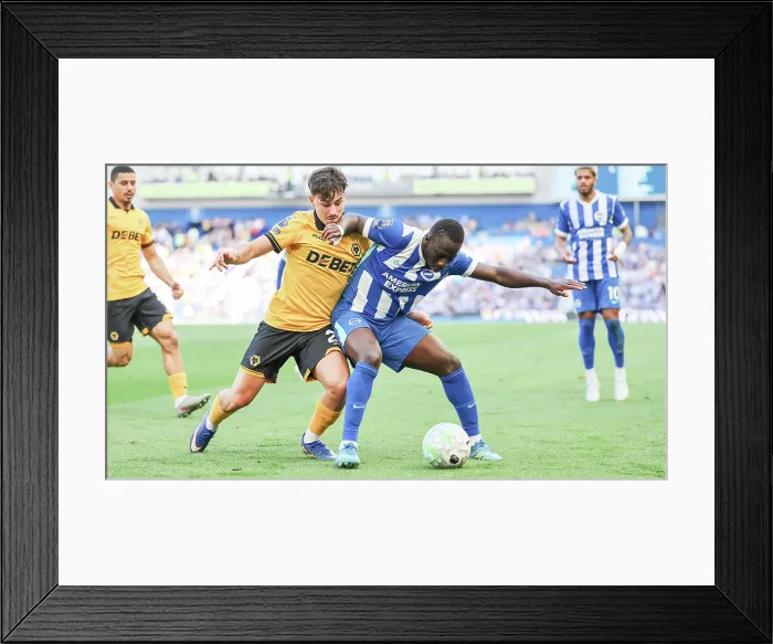 Framed Print : Brighton and Hove Albion v Wolverhampton Wanderers Premier League 09MAY26 Framed Print : Brighton and Hove Albion v Wolverhampton Wanderers Premier League 09MAY26
