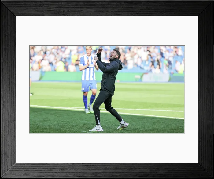 Framed Print : Brighton and Hove Albion v Wolverhampton Wanderers Premier League 09MAY26 Framed Print : Brighton and Hove Albion v Wolverhampton Wanderers Premier League 09MAY26