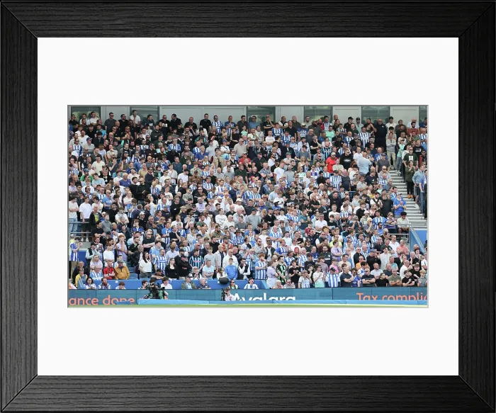 Framed Print : Brighton and Hove Albion v Wolverhampton Wanderers Premier League 09MAY26