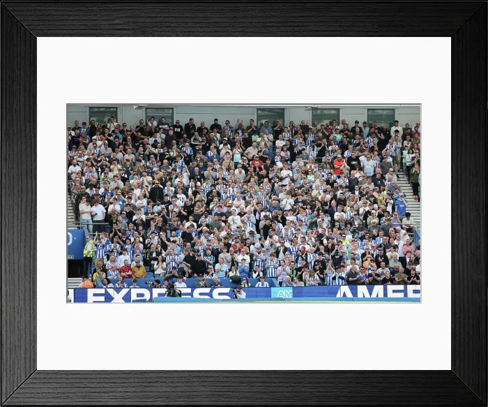 Framed Print : Brighton and Hove Albion v Wolverhampton Wanderers Premier League 09MAY26 Framed Print : Brighton and Hove Albion v Wolverhampton Wanderers Premier League 09MAY26