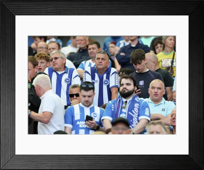 Framed Print : Brighton and Hove Albion v Wolverhampton Wanderers Premier League 09MAY26 Framed Print : Brighton and Hove Albion v Wolverhampton Wanderers Premier League 09MAY26